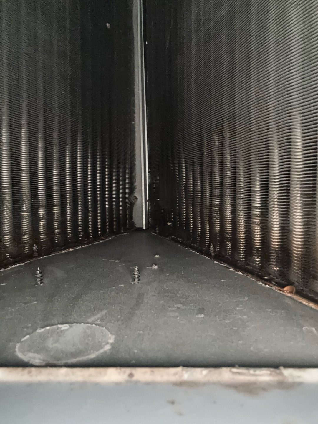 Evaporator coil inspection during a Sanford AC maintenance visit