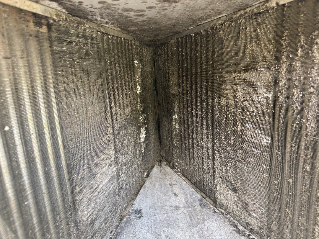 Linda's evaporator coil in Lake Mary clogged with dirt before cleaning